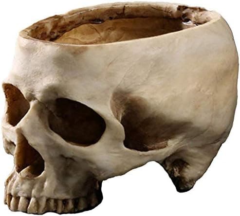 Resin Skull, Flower Pot, Halloween Decoration