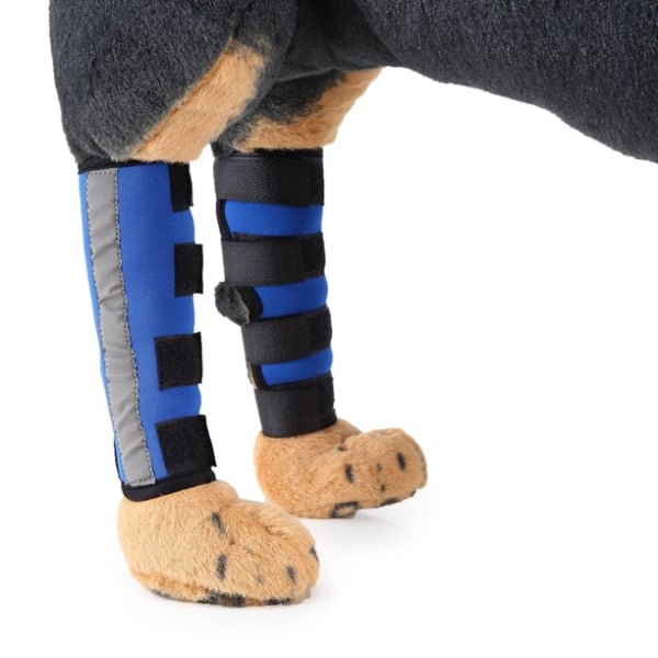 Støtte hund Bagben Hock Joint Wrap Forhindrer knæbeskyttere til kæledyr-M