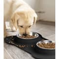 Dobbelt Skål til Hund og Kat - 2 x 450 ml