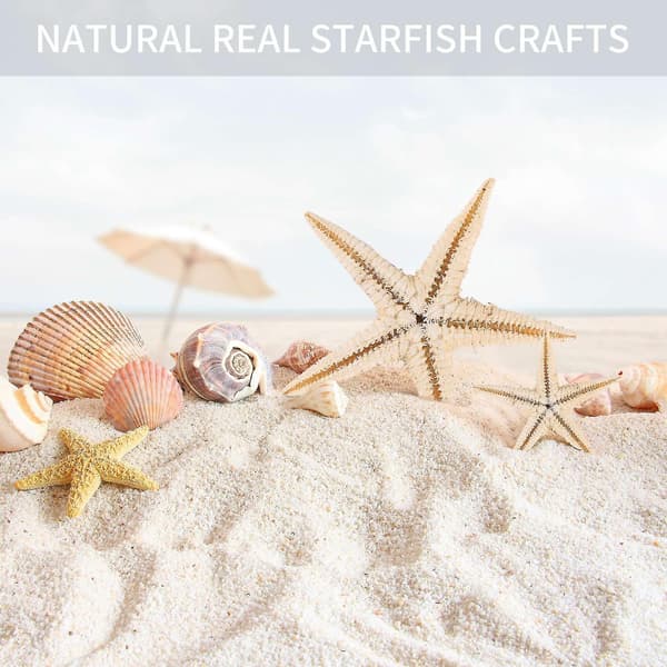 Small Starfish, Seashells, Beach Crafts, 0.4 inch-1.2 inch, 90 pcs