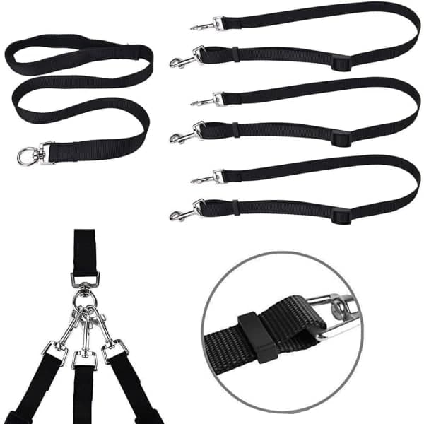 Galaxy Leaf 3-in-1 Dog Leash, Adjustable Leash, Detachable Dog Leash, Jogging Leash for Medium Dogs