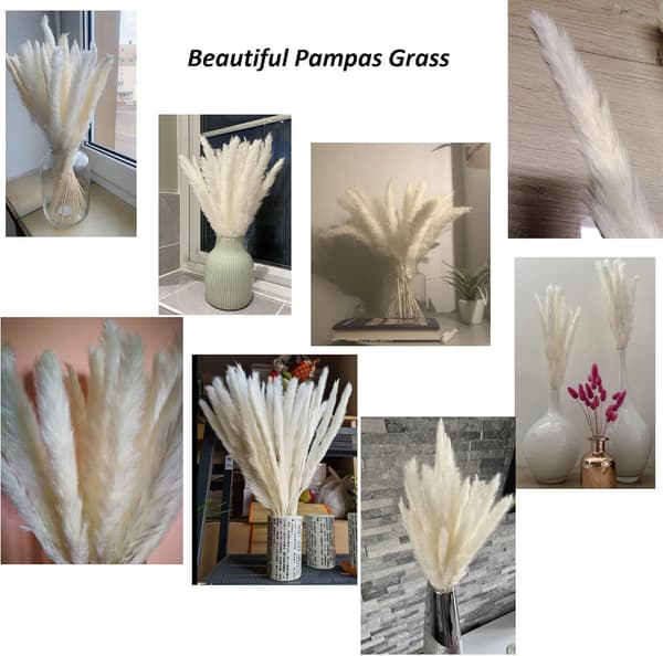 Torkade Pampasgräs Dekoration Set om 30, Pampas Blommor för Deko Vardagsrum, Sovrum, Interiör, Hus, Kök, Hem, Balkong (Vas ingår ej)