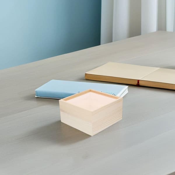 2 st tomma trälådor med skjutbart akryllock Elegant beige träfodral Resistent