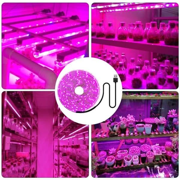 Fullspektrum USB LED-vekstlys – kappbart, drivhus – egnet for små planter 1m 1m 1m 1m