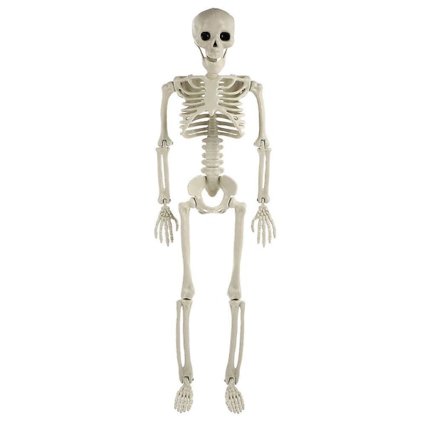 Hem Dekor Halloween Tillbehör Body Bones Modell Skelett Dekor Halloween Skelett PropWhite40X11CM White 40X11CM