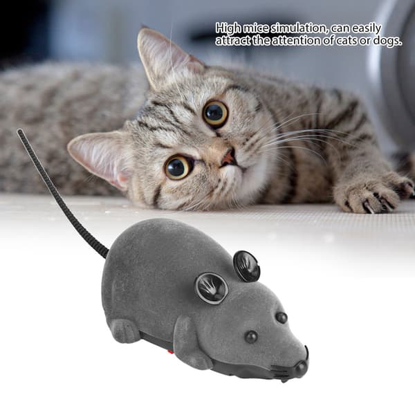Funny Cat Remote Control Wireless Mouse Toy Grey