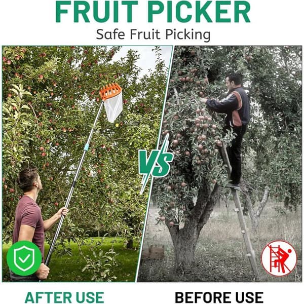 Fruit Picker - 2.4 M - Stainless Steel and Cotton - Protective Head - Harvests Apples, Pears, Cherries, and Oranges