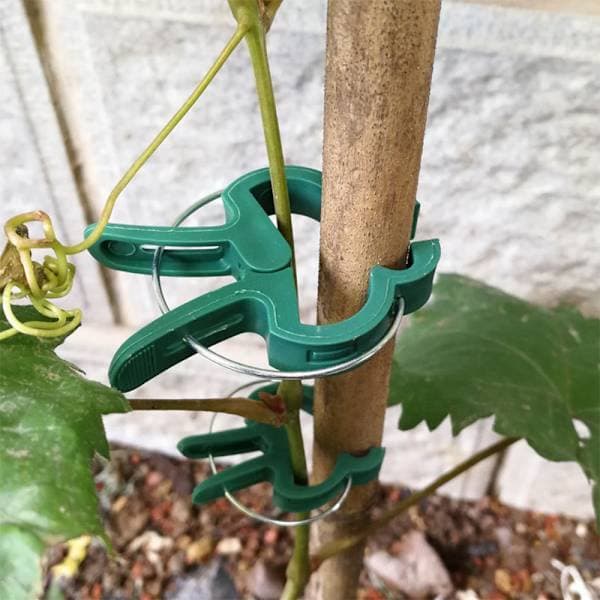 40 Plant Clips och Tomatklämmor för Trädgårdsväxter