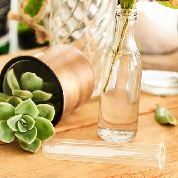 5 stk glassprøverørsvaser Hydroponisk planting Vannrør for blomster Egnet
