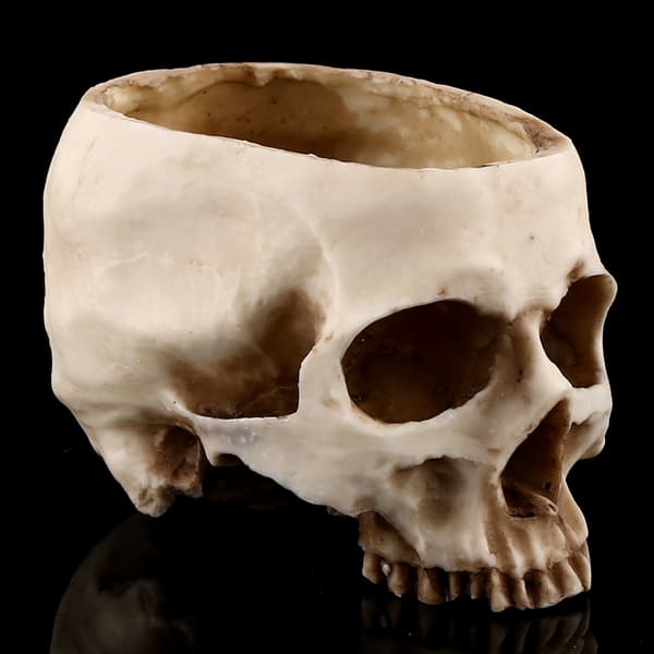 Skull Head Resin Flower Pot, Unique Decorative Planter Container