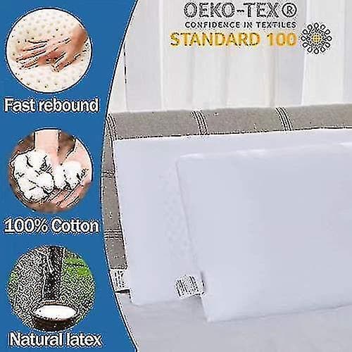 Alg 100% Talalay Latex Pillow, Extra Soft Latex Pillow for Sleeping (Queen Size), Bed Pillow for Back Sleepers