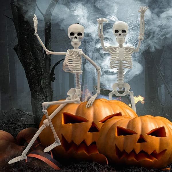 Small Skeleton Decorations Life-Size Full Body Bendable Joints Skeleton 15'' Skeleton Resin 2-pack