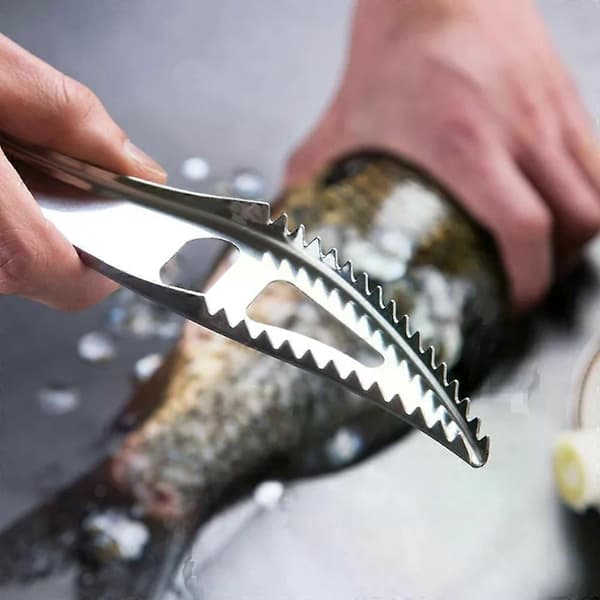 Stainless Steel Fish Scale Remover, Kitchen Tool for Removing Fish Scales, Fish Skin Cleaning Scraper