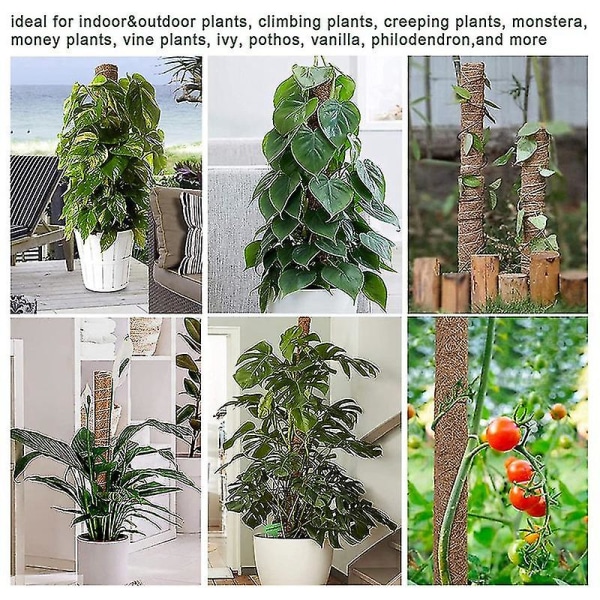 Mosstativ, Monstera Kokos Totemstativ 4-pak, 30 cm og 40 cm Mosstativer Kompatibel med Klatreplanter, Mosstænger