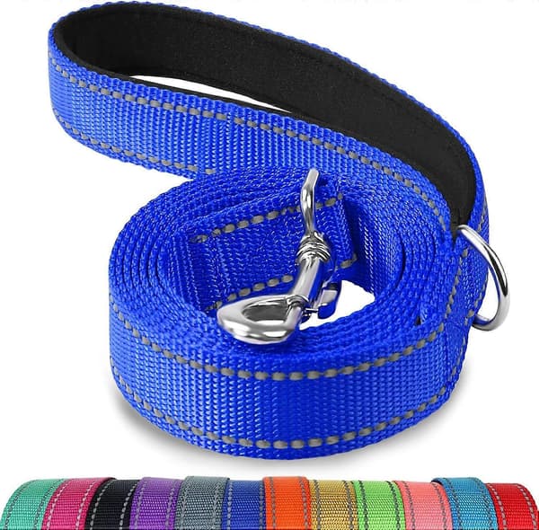 Double-Sided Reflective Dog Leash, Padded Nylon Handle for Walking, Training Leash for Medium and Large Dogs, Navy Blue, 1.5 m