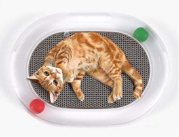 Cat Toy Catch Ball Roller Track Cat Ball Tower Puzzle Set Turntable Table Design Sensory