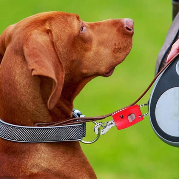 1 st Hundkoppelfäste, snabbkoppling för husdjurskoppel