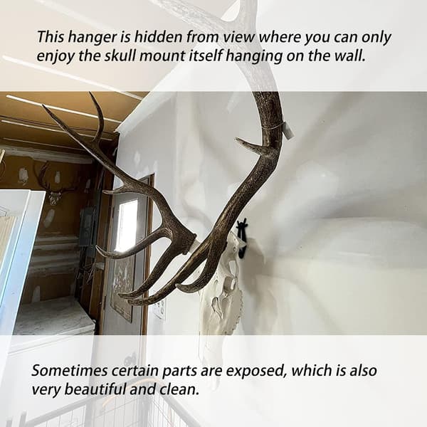 Skull Mounting, Deer Head Wall Mount for Hanging Deer Heads
