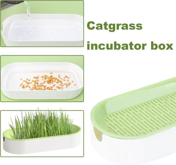 Cat Grass Planter, Cat Grass for Indoor Cats, Growing Pot