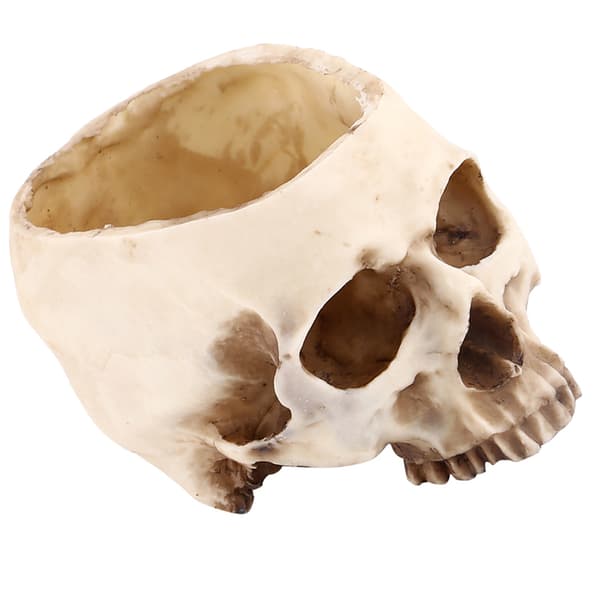 Skull Head Resin Flower Pot, Unique Decorative Planter Container