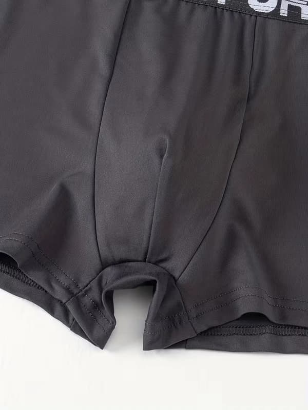 Men's Underwear, 10-pack, Relaxed Boxer Briefs/Underpants, Breathable, Comfortable and Stretchy (A) L L