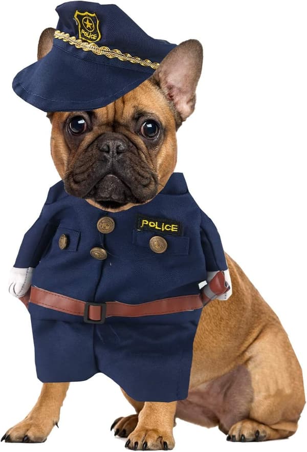 Kat- og hundeuniformer, sødt kæledyrstøj, sjove rollespilskostumer