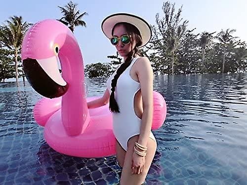 Flamingo Pool Flydende Svømmebassin