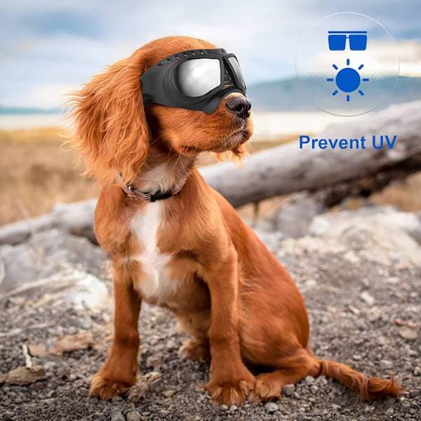 Dog Sunglasses for Small Breeds Dog Goggles UV Windproof Snowproof
