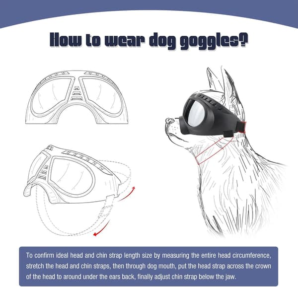 Hunde solbriller Goggles Let at bære Hundebriller Motorcykelbriller til små/mellemstore hunde