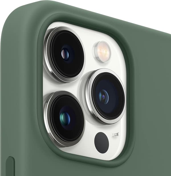 Silikondeksel med MagSafe (for iPhone 13 Pro) – Eucalyptus
