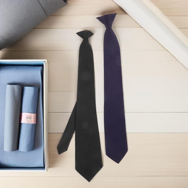 2 stk. formel clip-on slips til mænd, sort slips med polyester- og metalmateriale med rynkebestandighed, kontor, semiformal