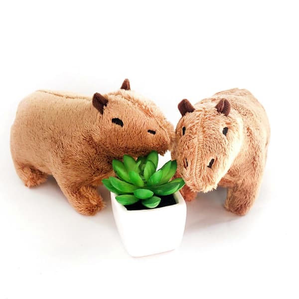 20 cm Plysj Cafe Capybara Leketøy Myk Kosedyr Sofadekor Barn Bursdagsgave