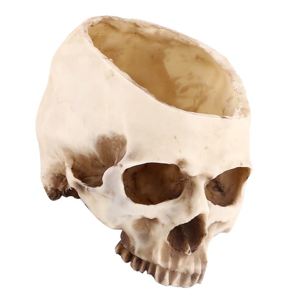 Skull Head Resin Flower Pot, Unique Decorative Planter Container