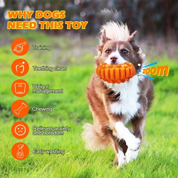 Oförstörbar hundleksak hund tuggboll hund ro