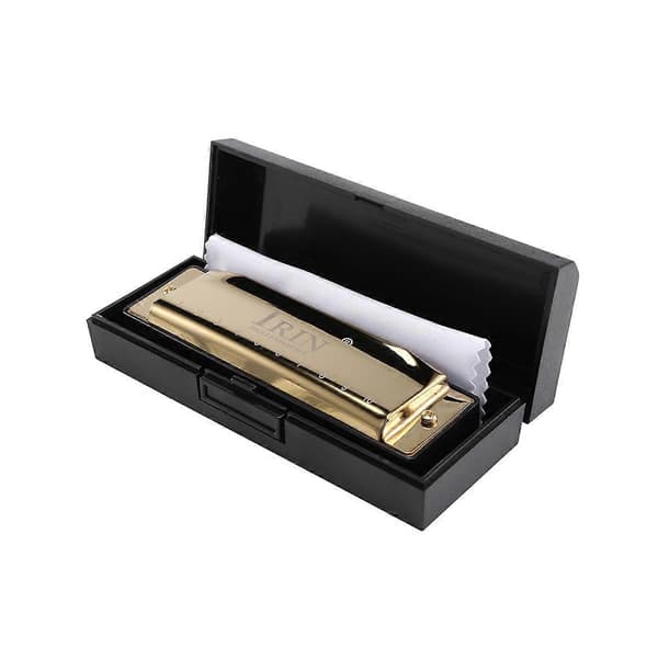 IRIN 10 Hole 20 Tone G Major Harmonica Blues Musical Instrument Diatonic Harp with Storage Box