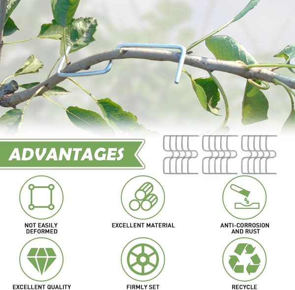 30 Pieces Fruit Tree Branch Spreaders, Fruit Branch Holders, Metal Branch Clips for Garden Branches, for Spreading and Stretching Fruit Tree Branches