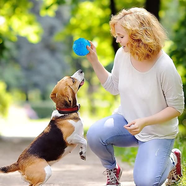 Hundelegetøjsbolde, lydlegetøjsbolde, hundelegetøjsbold til at tygge på, hvalpemolarrensebold, til små og mellemstore hunde (6 cm)
