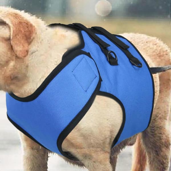 Dog Harness for Front Legs, Adjustable Front Leg Harness, Mobility Aid for Front Legs, Vehicle Entry and Exit for Dogs