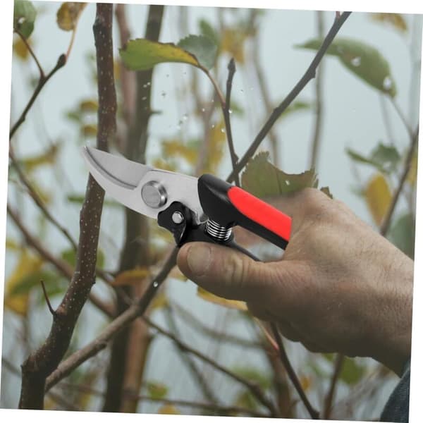 Stainless Steel Garden Pruning Shears for Fruit and Bonsai, Sharp Blades, Comfortable Hand Cutting Tool