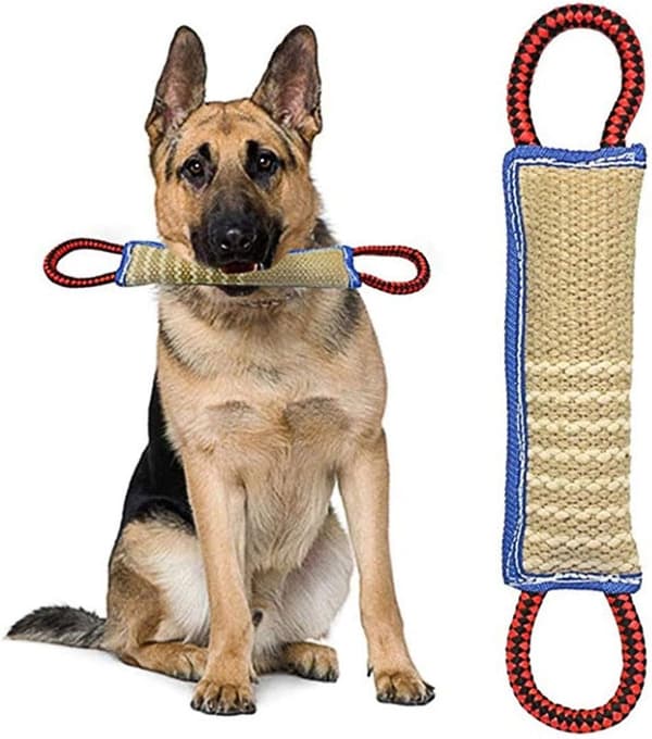 Dog Toy Bite Dummy with 2 Handles 30cm - Floating Learning Roller Good for Dog's Dental Health, Interactive St