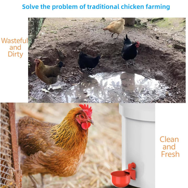 Automatisk fjerkræ vandkop drikker til kyllinger ænder vagtler kyllinger ællinger chooks Bebederos Para Gallinas