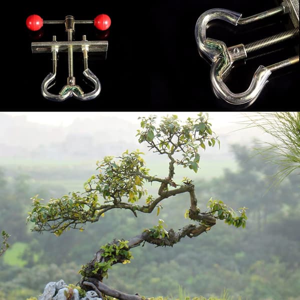 Bonsai Plant Branch Bending Tool