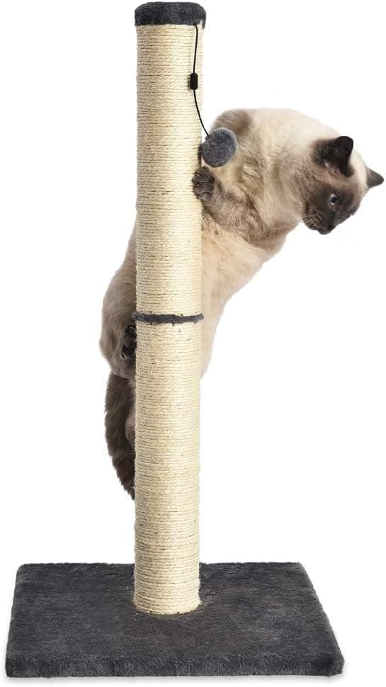 Sisäkäyttöön tarkoitettu kissan raapimispuu, vakiomalli riippuvalla lelulla, 73 cm, harmaa