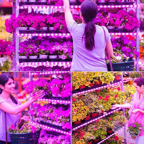 LED vekstlysstriper Vanntett klippbar stripe USB vekstlampe for innendørsplanter Sukkulenter Hydroponics Drivhus 1m