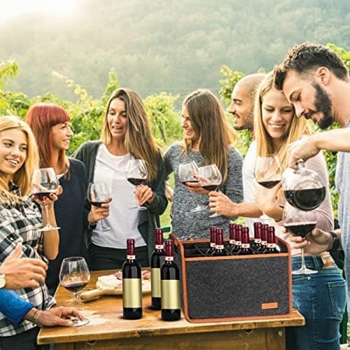 2-pack 12 flaskor vinväska, isolerad termisk vadderad vinbärväska, återanvändbara vinpåsar för vinflaskor resor, camping och picknick, perfekt