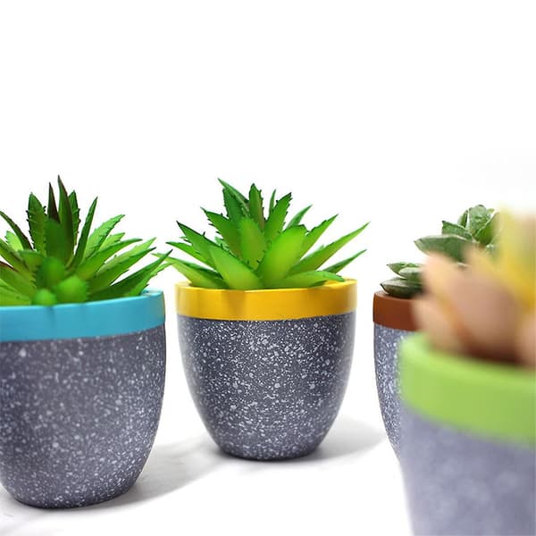 6 stk. Havepotter Passer til de fleste sukkulenter Blomster Indendørs Plantetilbehør
