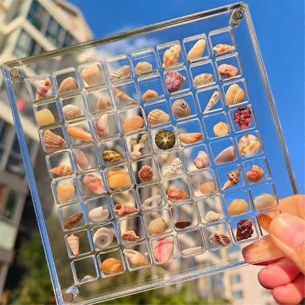 Akryl Magnetisk Snäckskalsdisplaybox, Diamant Ädelsten Pärlor Förvaringsdisplay Organizer Box Rutnät Klar Akryl Snäckskal, A
