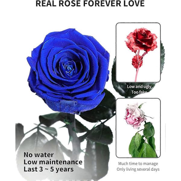 Blå blomster til levering Prime, konserverede blå roser blomstergaver til kvinder, ægte roser