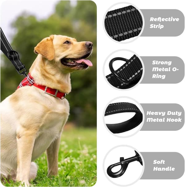 Short Durable Dog Leash 60x2.5cm – Reflective Training Leash with D-ring for Medium to Large Dogs – Control & Safety