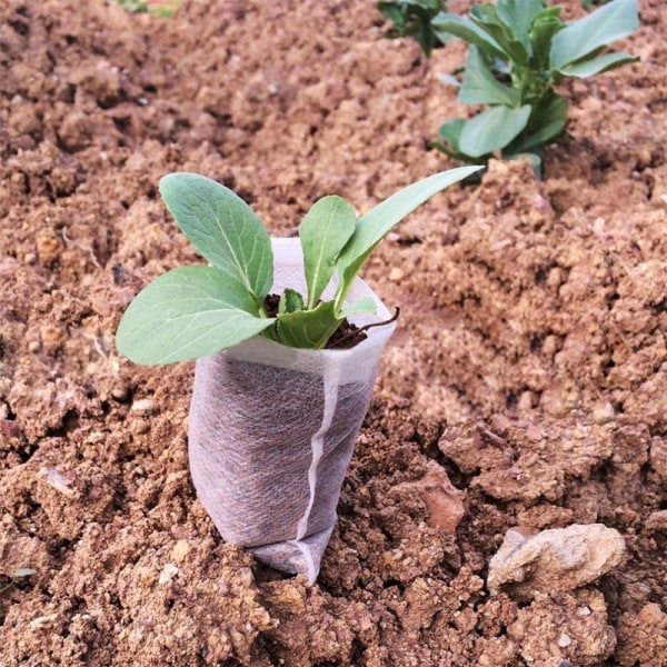 Sæbeplanteposer i stof til frøplantning, frugt, grøntsager, 100 stk.